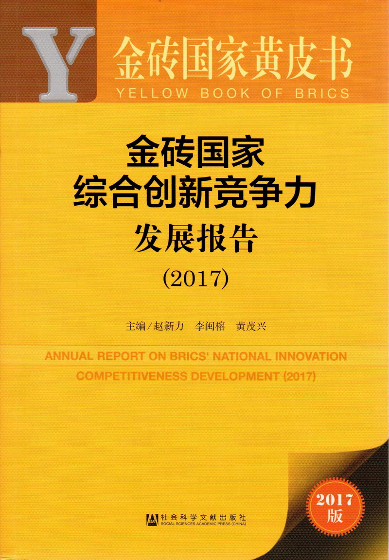 操逼鸡巴舔穴视频免费金砖国家综合创新竞争力发展报告（2017）